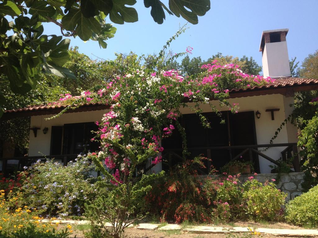 Selimiye Houses Exteriér fotografie