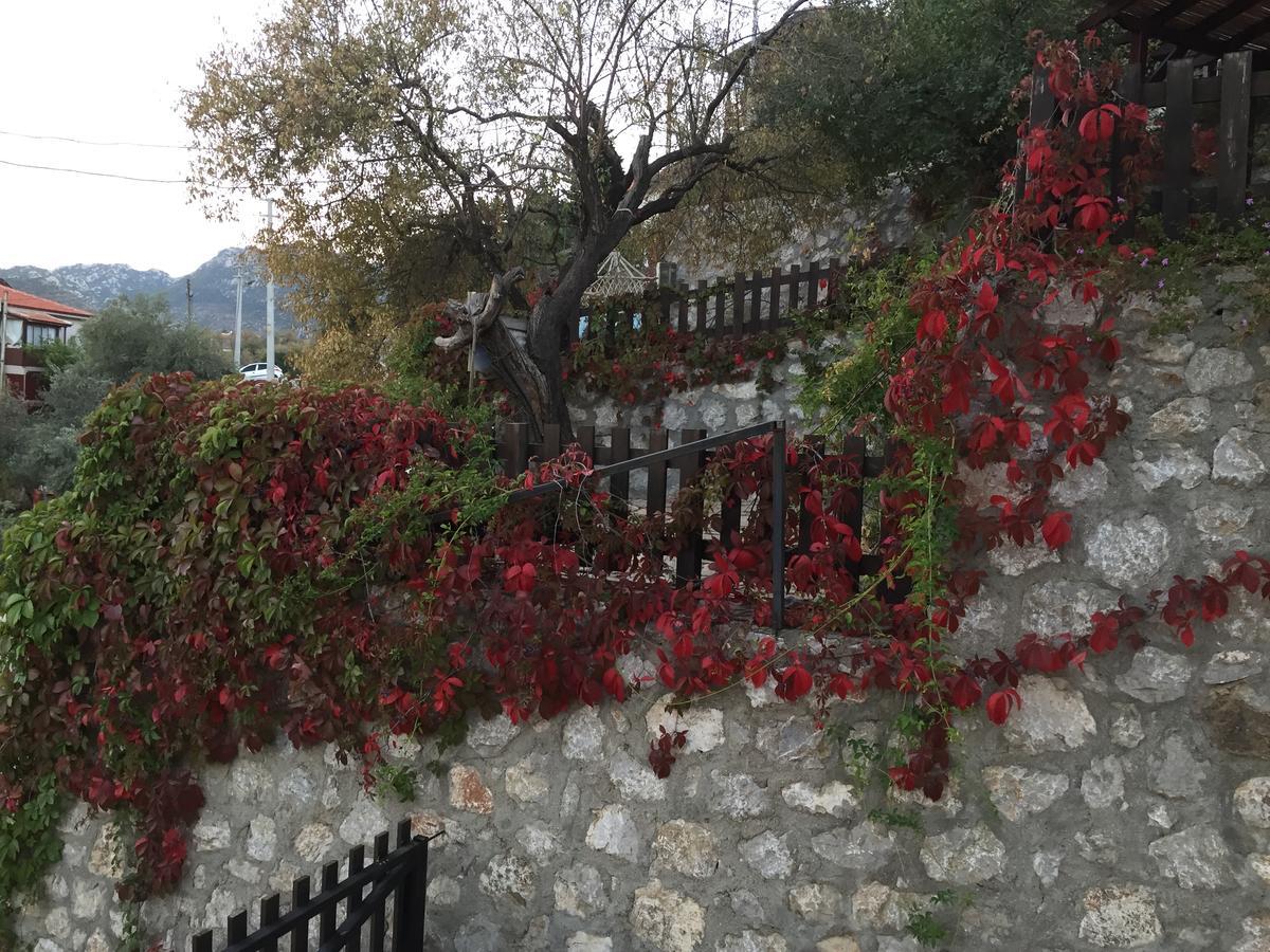 Selimiye Houses Exteriér fotografie